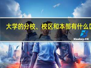 大学的分校、校区和本部有什么区别
