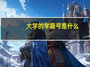 大学的学籍号是什么