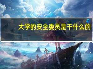 大学的安全委员是干什么的