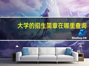大学的招生简章在哪里查询