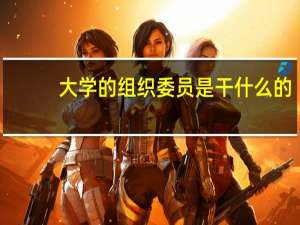 大学的组织委员是干什么的