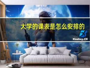 大学的课表是怎么安排的