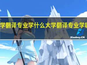 大学翻译专业学什么 大学翻译专业学哪些课程