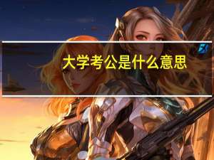大学考公是什么意思