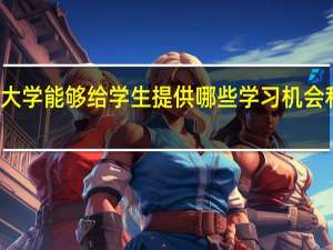 大学能够给学生提供哪些学习机会和帮助