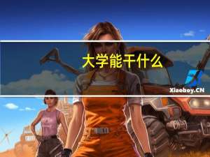 大学能干什么
