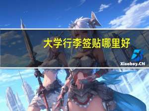 大学行李签贴哪里好