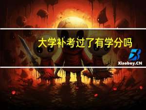 大学补考过了有学分吗