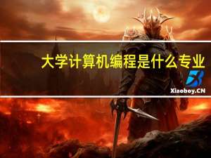 大学计算机编程是什么专业