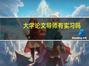 大学论文导师有实习吗