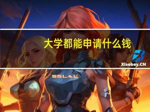 大学都能申请什么钱