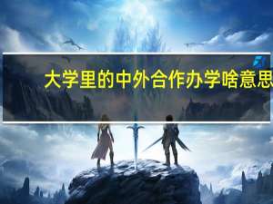 大学里的中外合作办学啥意思
