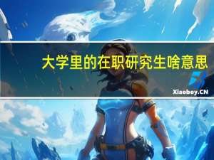 大学里的在职研究生啥意思