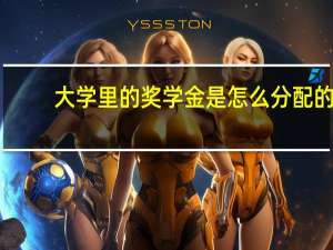 大学里的奖学金是怎么分配的