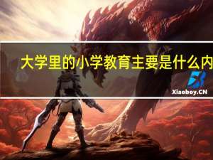 大学里的小学教育主要是什么内容