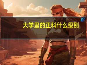 大学里的正科什么级别