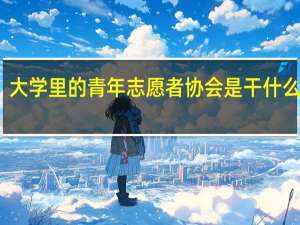 大学里的青年志愿者协会是干什么的啊