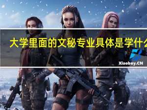 大学里面的文秘专业具体是学什么啊