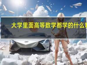 大学里面高等数学都学的什么啊