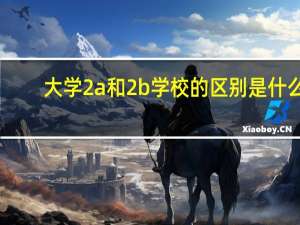 大学2a和2b学校的区别是什么