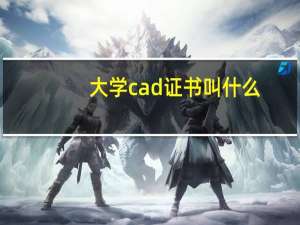 大学cad证书叫什么