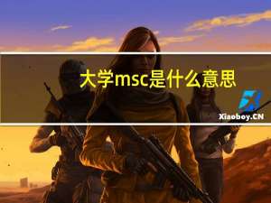 大学msc是什么意思