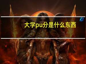 大学pu分是什么东西