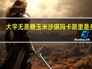 大宇 无蔗糖玉米沙琪玛卡路里是多少