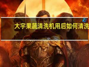 大宇果蔬清洗机用后如何清洗