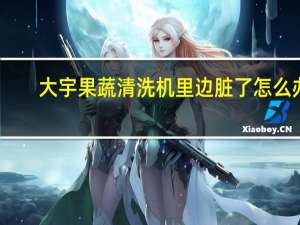 大宇果蔬清洗机里边脏了怎么办