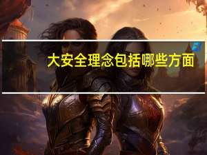 大安全理念包括哪些方面（大安全理念）