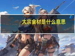 大宗食材是什么意思