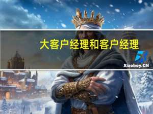 大客户经理和客户经理（什么是大客户经理）