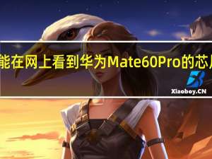 大家已经能在网上看到华为Mate60Pro的芯片信息芯片跑分