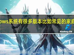 大家常用的Windows系统有很多版本比如常见的家庭版教育版和专业版等等
