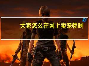大家怎么在网上卖宠物啊