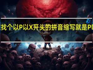 大家找个以P 以 X 开头的拼音缩写就是P啥啥X啥啥