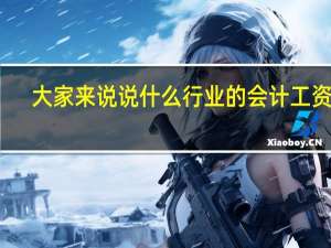 大家来说说什么行业的会计工资高