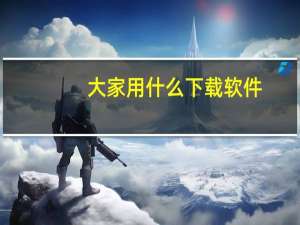 大家用什么下载软件