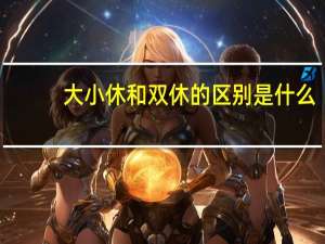 大小休和双休的区别是什么？