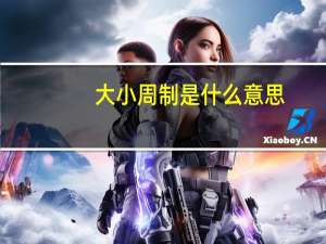 大小周制是什么意思