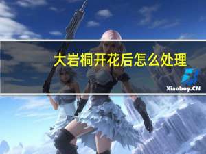 大岩桐开花后怎么处理