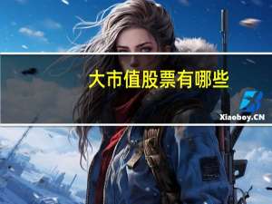 大市值股票有哪些