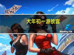 大年初一游故宫（初一故宫迎首批游客）