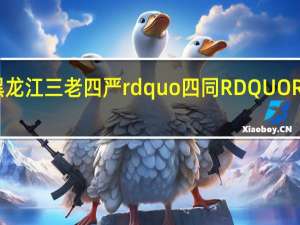 大庆ldquo黑龙江三老四严rdquo四同RDQUORDQUO标准是什么？