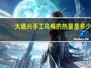 大德兴 手工乌梅的热量是多少