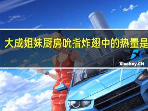 大成 姐妹厨房 吮指炸翅中的热量是多少