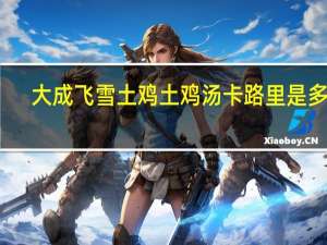 大成 飞雪土鸡 土鸡汤卡路里是多少