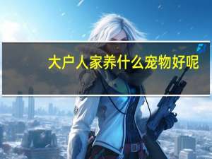 大户人家养什么宠物好呢