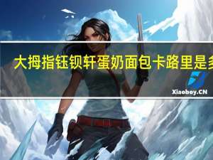 大拇指钰钡轩 蛋奶面包卡路里是多少